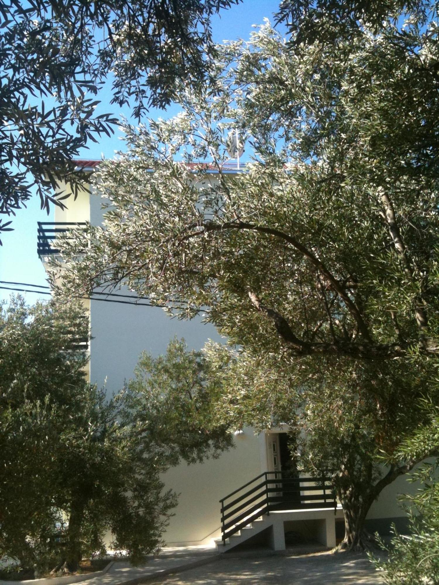 אומיס Apartments Sea View מראה חיצוני תמונה